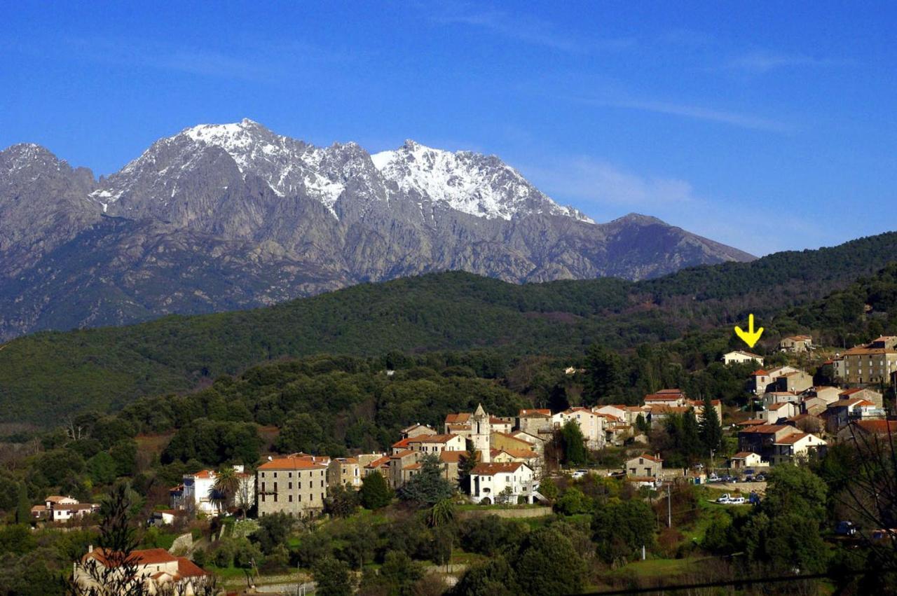 95M2 Au Calme A 25Mn Ajaccio, Plages, Linge Inclus Parking Ok Ucciani Zewnętrze zdjęcie