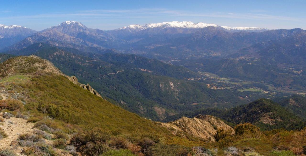 95M2 Au Calme A 25Mn Ajaccio, Plages, Linge Inclus Parking Ok Ucciani Zewnętrze zdjęcie