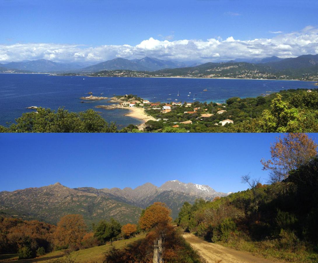 95M2 Au Calme A 25Mn Ajaccio, Plages, Linge Inclus Parking Ok Ucciani Zewnętrze zdjęcie